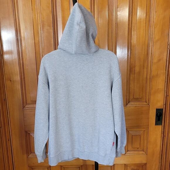 South Pole Mens or Womens Basic Gray Hoodie Size Large Simple - Picture 2 of 8